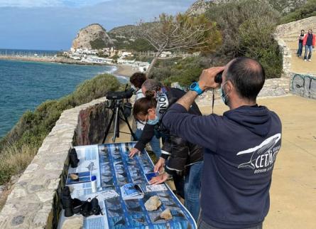 garraf_observant_fauna_marina